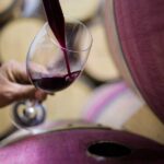 wein-suedafrika