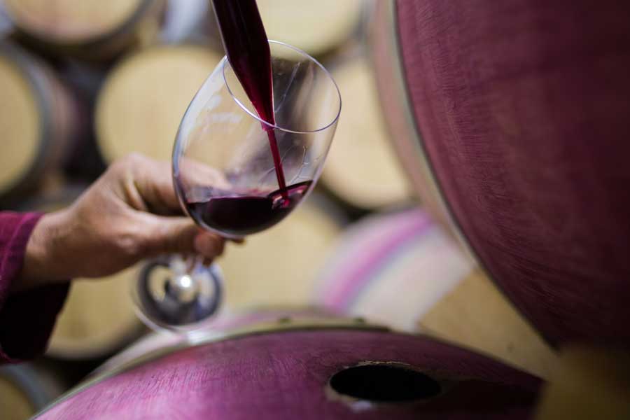 wein-suedafrika