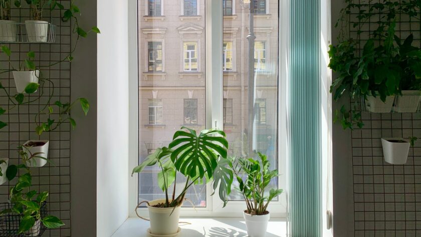 Fensterbank Deko skandinavisch: Die besten Ideen für hyggeligen Wohnstil